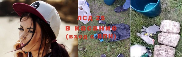 гашик Ростов