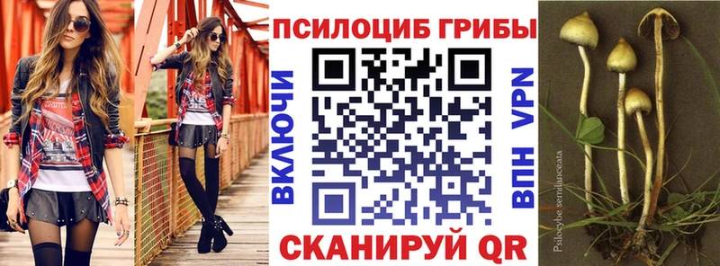 Псилоцибиновые грибы GOLDEN TEACHER  Амурск 