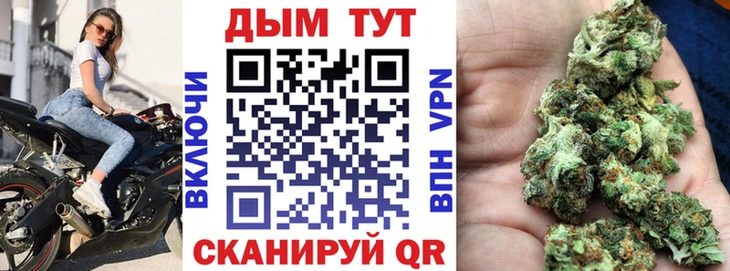 купить наркоту Амурск Бошки Шишки SATIVA & INDICA